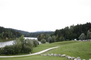 FOTO Drago Juteršek (7)